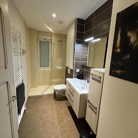 Appartement 77M2 2 Chambres Parking Prive Wifi Pro Haguenau
